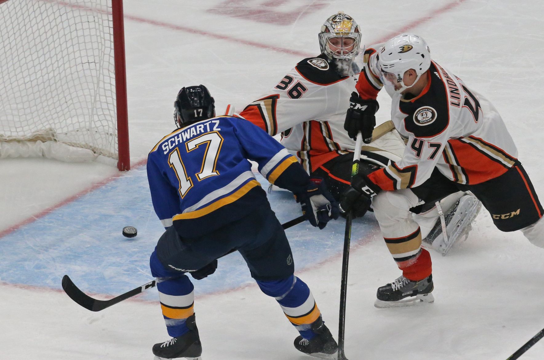 The Blues take on the Ducks at the Enterprise Center